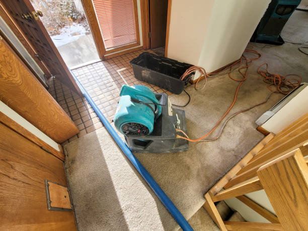 Best Water damage restoration near me  in Island City, OR