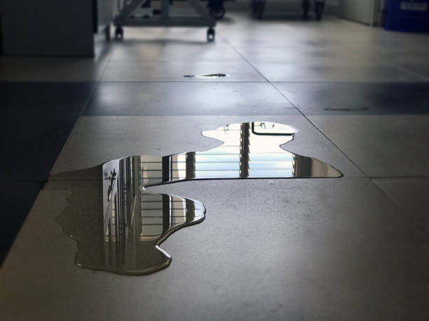 Best Water damage restoration near me  in Island City, OR