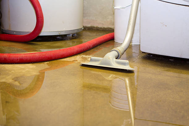 Best Sewage cleanup and water damage restoration  in Island City, OR