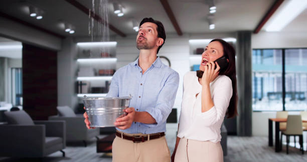  Island City, OR Water damage restoration Pros